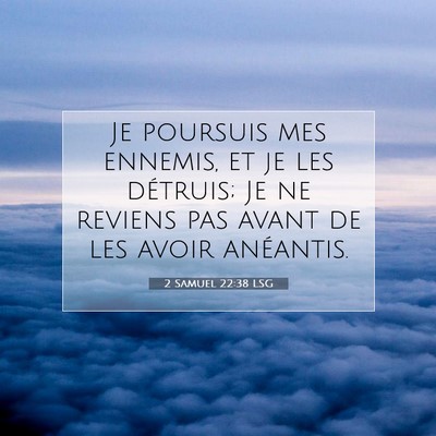 Picture 07 - 2 Samuel 22:38 LSG - Je poursuis mes ennemis, et je les détruis; Je - Bible Verse Picture