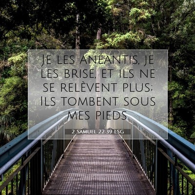 Picture 07 - 2 Samuel 22:39 LSG - Je les anéantis, je les brise, et ils ne se - Bible Verse Picture