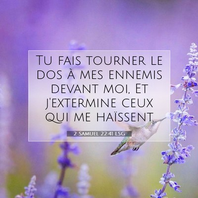 Picture 07 - 2 Samuel 22:41 LSG - Tu fais tourner le dos à mes ennemis devant moi, - Bible Verse Picture