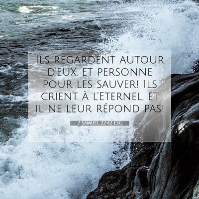 Picture 07 - 2 Samuel 22:42 LSG - Ils regardent autour d'eux, et personne pour les - Bible Verse Picture