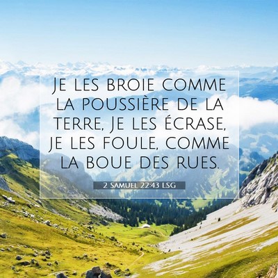 Picture 07 - 2 Samuel 22:43 LSG - Je les broie comme la poussière de la terre, Je - Bible Verse Picture