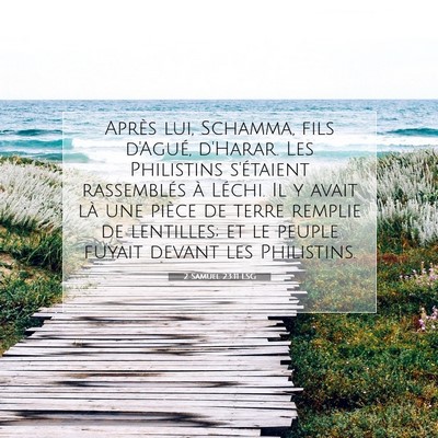 Picture 07 - 2 Samuel 23:11 LSG - Après lui, Schamma, fils d'Agué, d'Harar. Les - Bible Verse Picture