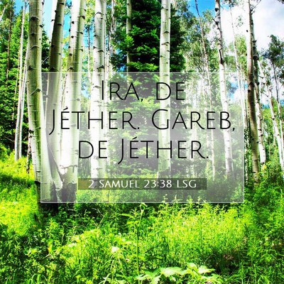 Picture 07 - 2 Samuel 23:38 LSG - Ira, de Jéther. Gareb, de - Bible Verse Picture