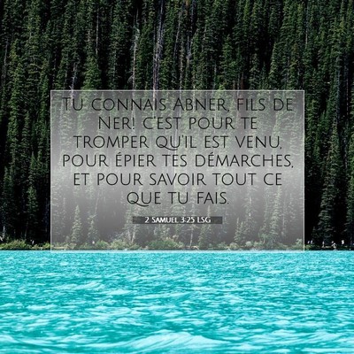 Picture 07 - 2 Samuel 3:25 LSG - Tu connais Abner, fils de Ner! c'est pour te - Bible Verse Picture