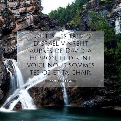 Picture 07 - 2 Samuel 5:1 LSG - Toutes les tribus d'Israël vinrent auprès de - Bible Verse Picture
