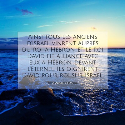 Picture 07 - 2 Samuel 5:3 LSG - Ainsi tous les anciens d'Israël vinrent auprès - Bible Verse Picture