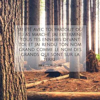 Picture 07 - 2 Samuel 7:9 LSG - j'ai été avec toi partout où tu as marché, - Bible Verse Picture