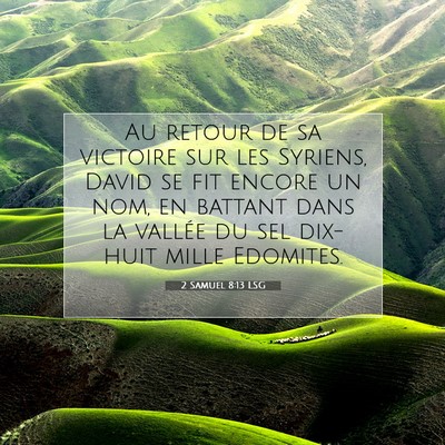 Picture 07 - 2 Samuel 8:13 LSG - Au retour de sa victoire sur les Syriens, David - Bible Verse Picture
