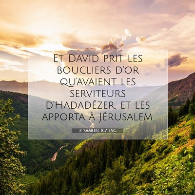 Picture 07 - 2 Samuel 8:7 LSG - Et David prit les boucliers d'or qu'avaient les - Bible Verse Picture
