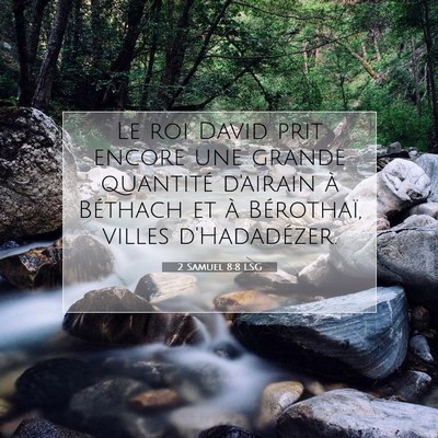 Picture 07 - 2 Samuel 8:8 LSG - Le roi David prit encore une grande quantité - Bible Verse Picture
