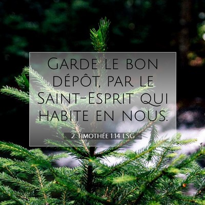 Picture 07 - 2 Timothée 1:14 LSG - Garde le bon dépôt, par le Saint-Esprit qui - Bible Verse Picture