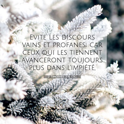 Picture 07 - 2 Timothée 2:16 LSG - Evite les discours vains et profanes; car ceux - Bible Verse Picture