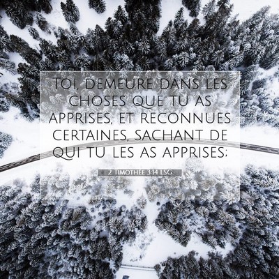 Picture 07 - 2 Timothée 3:14 LSG - Toi, demeure dans les choses que tu as apprises, - Bible Verse Picture
