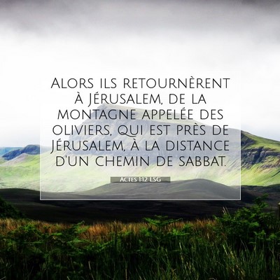 Picture 07 - Actes 1:12 LSG - Alors ils retournèrent à Jérusalem, de la - Bible Verse Picture