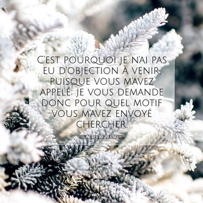 Picture 07 - Actes 10:29 LSG - C'est pourquoi je n'ai pas eu d'objection à - Bible Verse Picture