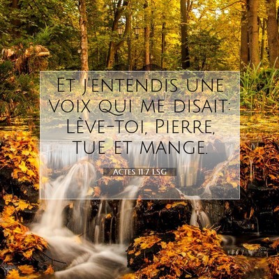 Picture 07 - Actes 11:7 LSG - Et j'entendis une voix qui me disait: Lève-toi, - Bible Verse Picture