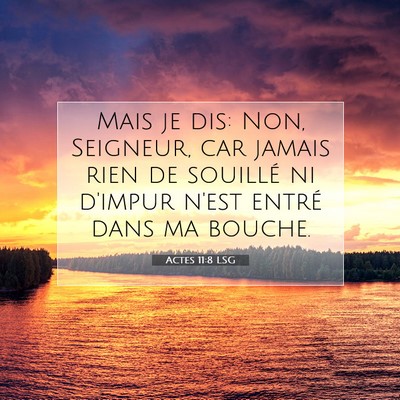 Picture 07 - Actes 11:8 LSG - Mais je dis: Non, Seigneur, car jamais rien de - Bible Verse Picture