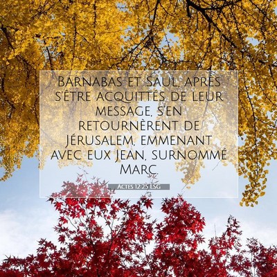 Picture 07 - Actes 12:25 LSG - Barnabas et Saul, après s'être acquittés de - Bible Verse Picture