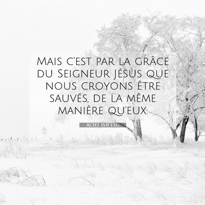 Picture 07 - Actes 15:11 LSG - Mais c'est par la grâce du Seigneur Jésus que - Bible Verse Picture
