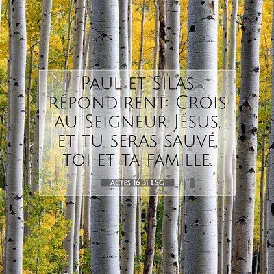 Picture 07 - Actes 16:31 LSG - Paul et Silas répondirent: Crois au Seigneur - Bible Verse Picture