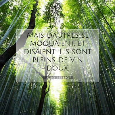 Picture 07 - Actes 2:13 LSG - Mais d'autres se moquaient, et disaient: Ils sont - Bible Verse Picture
