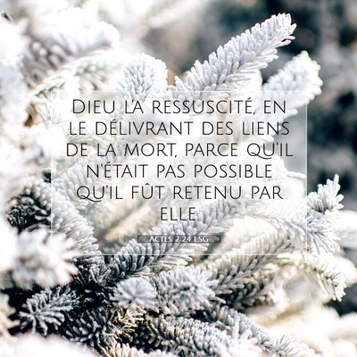 Picture 07 - Actes 2:24 LSG - Dieu l'a ressuscité, en le délivrant des liens - Bible Verse Picture