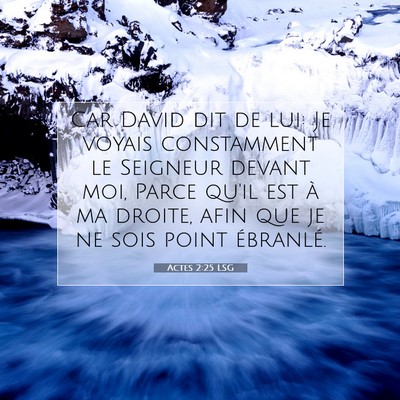 Picture 07 - Actes 2:25 LSG - Car David dit de lui: Je voyais constamment le - Bible Verse Picture