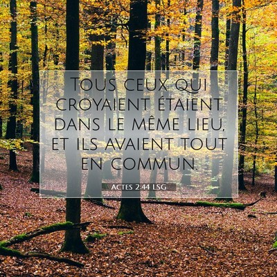 Picture 07 - Actes 2:44 LSG - Tous ceux qui croyaient étaient dans le même - Bible Verse Picture