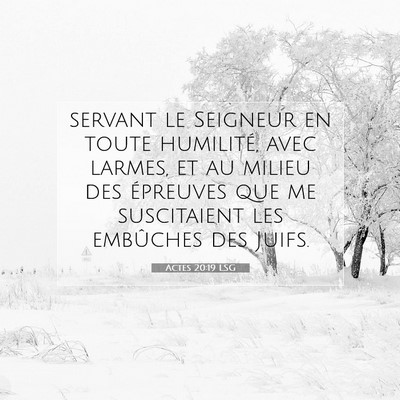 Picture 07 - Actes 20:19 LSG - servant le Seigneur en toute humilité, avec - Bible Verse Picture