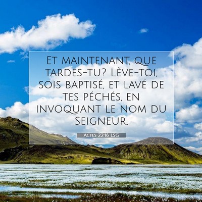 Picture 07 - Actes 22:16 LSG - Et maintenant, que tardes-tu? Lève-toi, sois - Bible Verse Picture