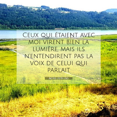 Picture 07 - Actes 22:9 LSG - Ceux qui étaient avec moi virent bien la - Bible Verse Picture