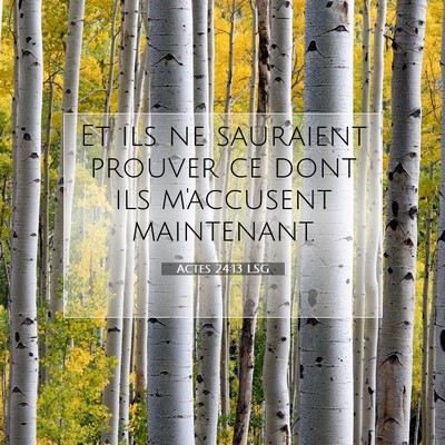 Picture 07 - Actes 24:13 LSG - Et ils ne sauraient prouver ce dont ils - Bible Verse Picture
