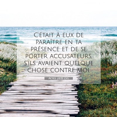 Picture 07 - Actes 24:19 LSG - C'était à eux de paraître en ta présence et - Bible Verse Picture
