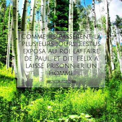 Picture 07 - Actes 25:14 LSG - Comme ils passèrent là plusieurs jours, Festus - Bible Verse Picture