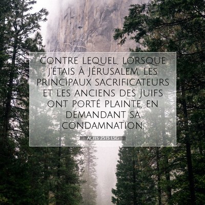 Picture 07 - Actes 25:15 LSG - contre lequel, lorsque j'étais à Jérusalem, - Bible Verse Picture