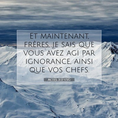 Picture 07 - Actes 3:17 LSG - Et maintenant, frères, je sais que vous avez agi - Bible Verse Picture