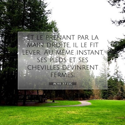 Picture 07 - Actes 3:7 LSG - Et le prenant par la main droite, il le fit - Bible Verse Picture