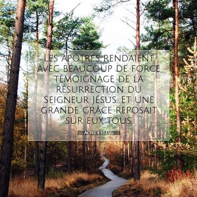 Picture 07 - Actes 4:33 LSG - Les apôtres rendaient avec beaucoup de force - Bible Verse Picture