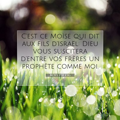 Picture 07 - Actes 7:37 LSG - C'est ce Moïse qui dit aux fils d'Israël: Dieu - Bible Verse Picture