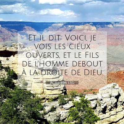 Picture 07 - Actes 7:56 LSG - Et il dit: Voici, je vois les cieux ouverts, et - Bible Verse Picture