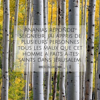 Picture 07 - Actes 9:13 LSG - Ananias répondit: Seigneur, j'ai appris de - Bible Verse Picture