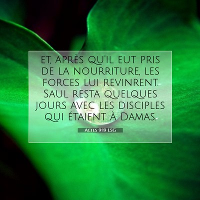 Picture 07 - Actes 9:19 LSG - et, après qu'il eut pris de la nourriture, les - Bible Verse Picture