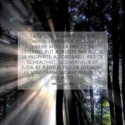 Picture 07 - Aggée 1:1 LSG - La seconde année du roi Darius, le premier jour - Bible Verse Picture