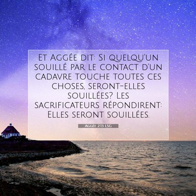 Picture 07 - Aggée 2:13 LSG - Et Aggée dit: Si quelqu'un souillé par le - Bible Verse Picture
