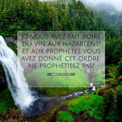 Picture 07 - Amos 2:12 LSG - Et vous avez fait boire du vin aux nazaréens! Et - Bible Verse Picture