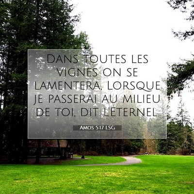 Picture 07 - Amos 5:17 LSG - Dans toutes les vignes on se lamentera, Lorsque - Bible Verse Picture