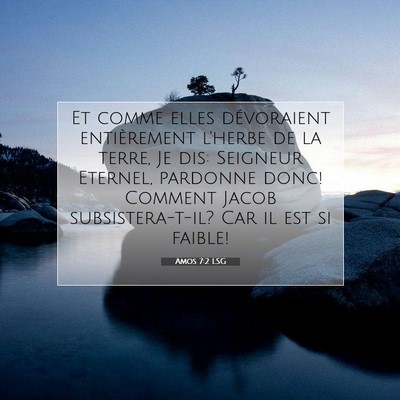 Picture 07 - Amos 7:2 LSG - Et comme elles dévoraient entièrement l'herbe - Bible Verse Picture