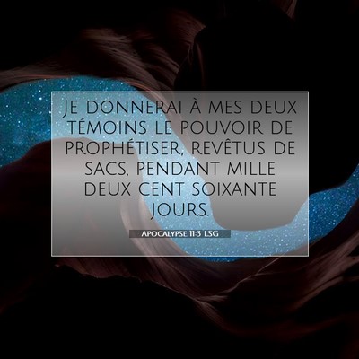 Picture 07 - Apocalypse 11:3 LSG - Je donnerai à mes deux témoins le pouvoir de - Bible Verse Picture