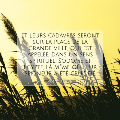 Picture 07 - Apocalypse 11:8 LSG - Et leurs cadavres seront sur la place de la - Bible Verse Picture
