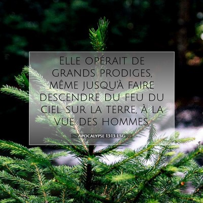 Picture 07 - Apocalypse 13:13 LSG - Elle opérait de grands prodiges, même jusqu'à - Bible Verse Picture